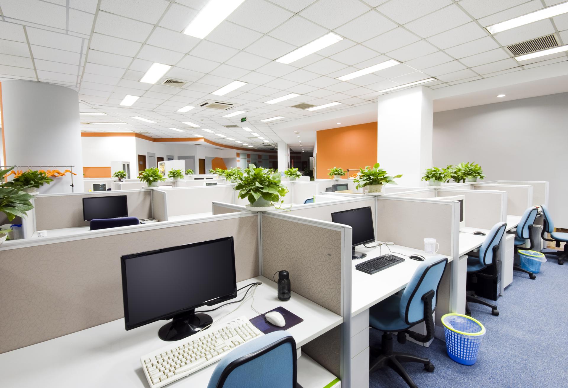 Cost-Effective Commercial Cleaning in Subiaco